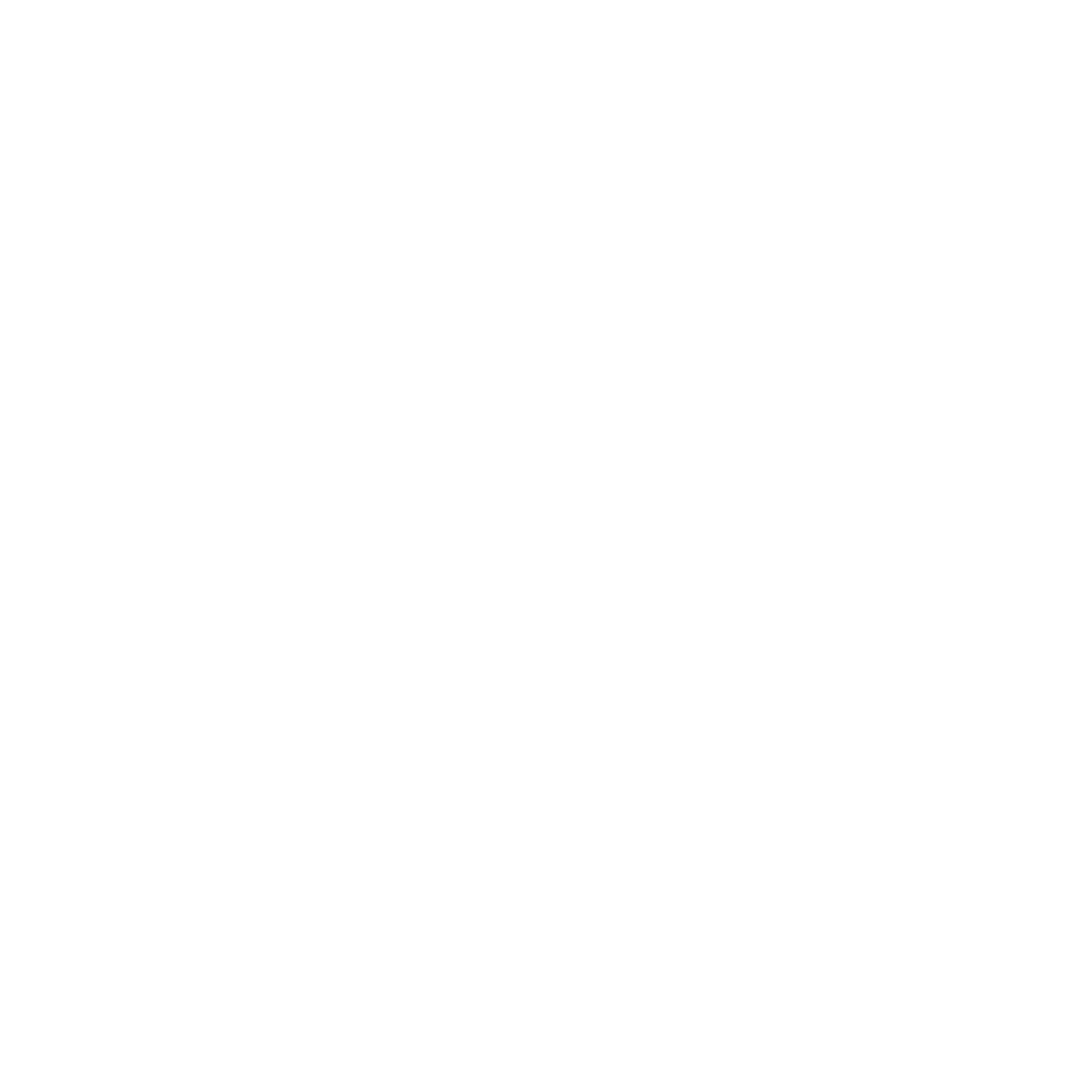 vk white icon